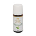 Kräuteröl Minze, 10 ml